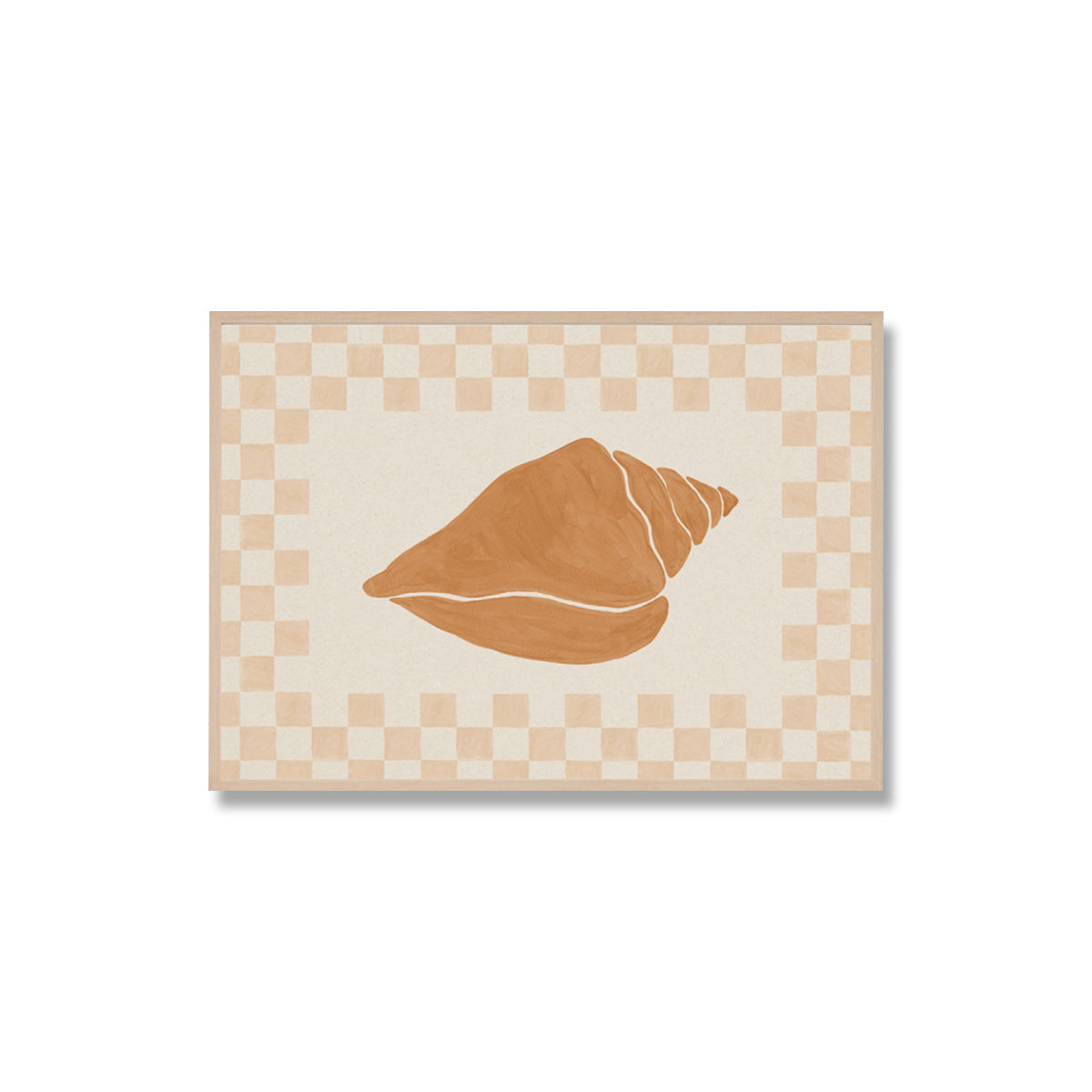 Check Seashell 1 Framed Print