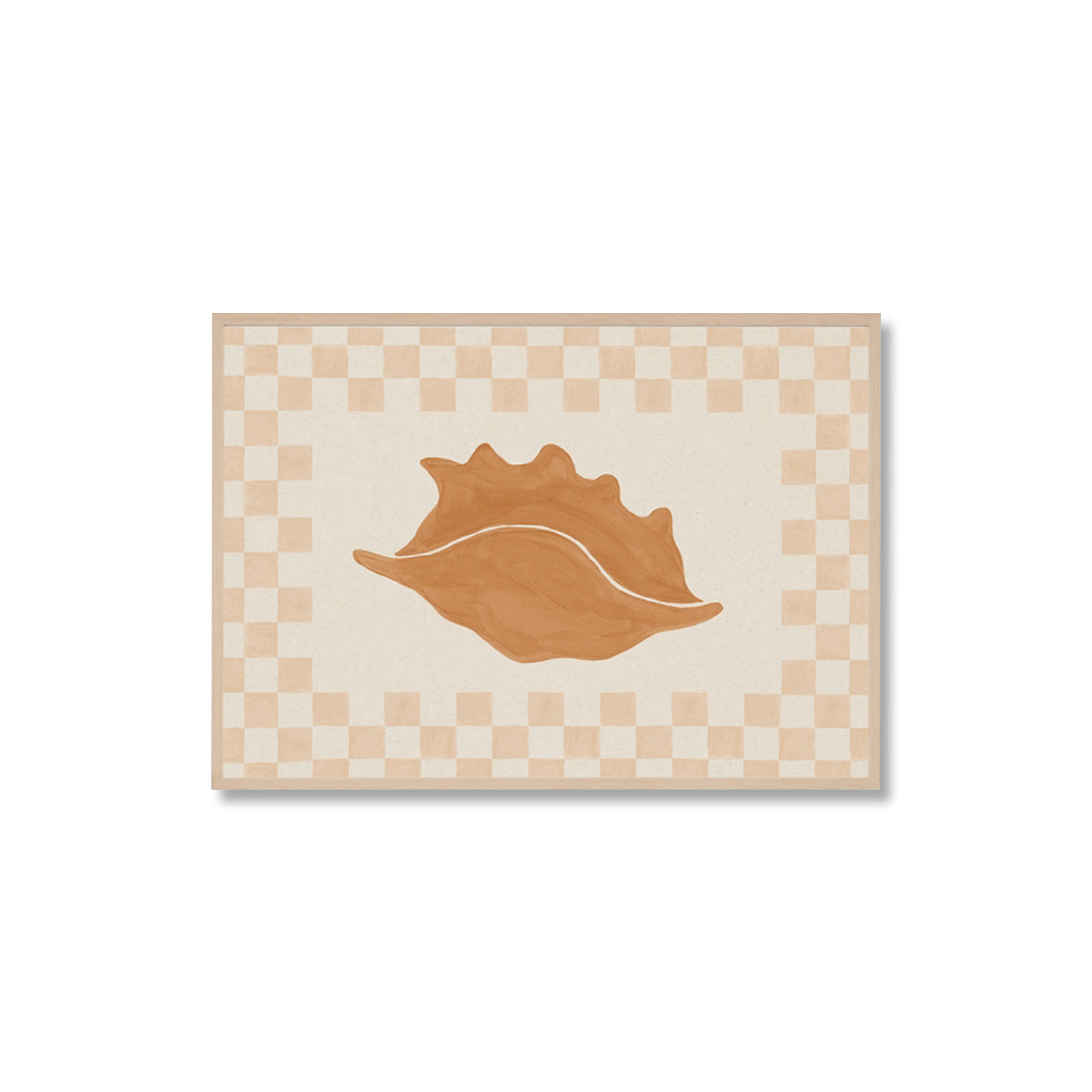 Check Seashell 2 Framed Print