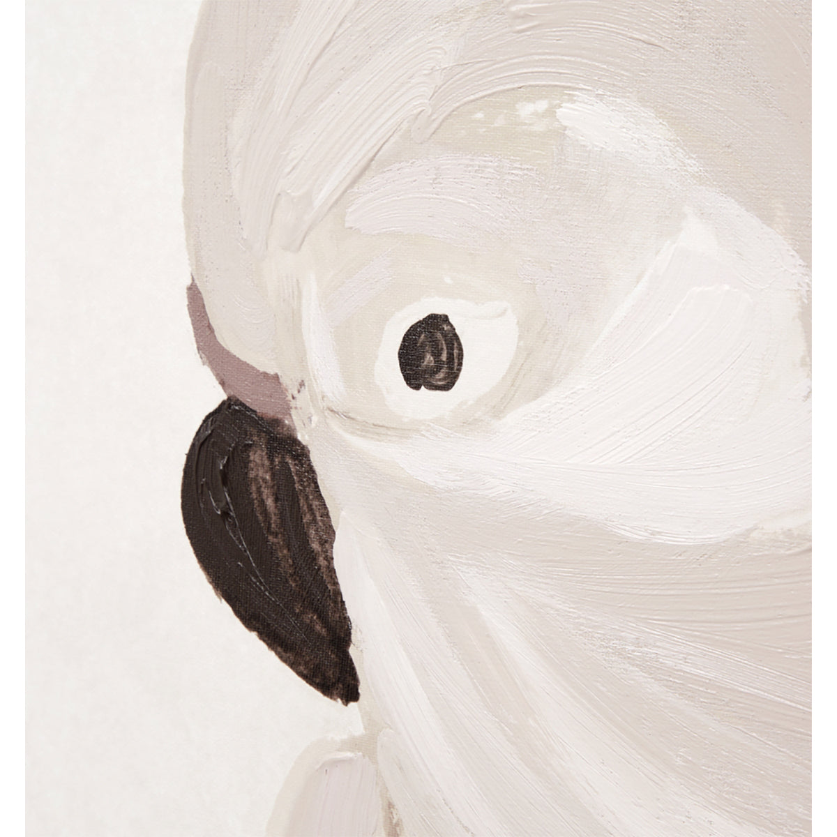 Cockatoo Portrait 2 Framed Canvas