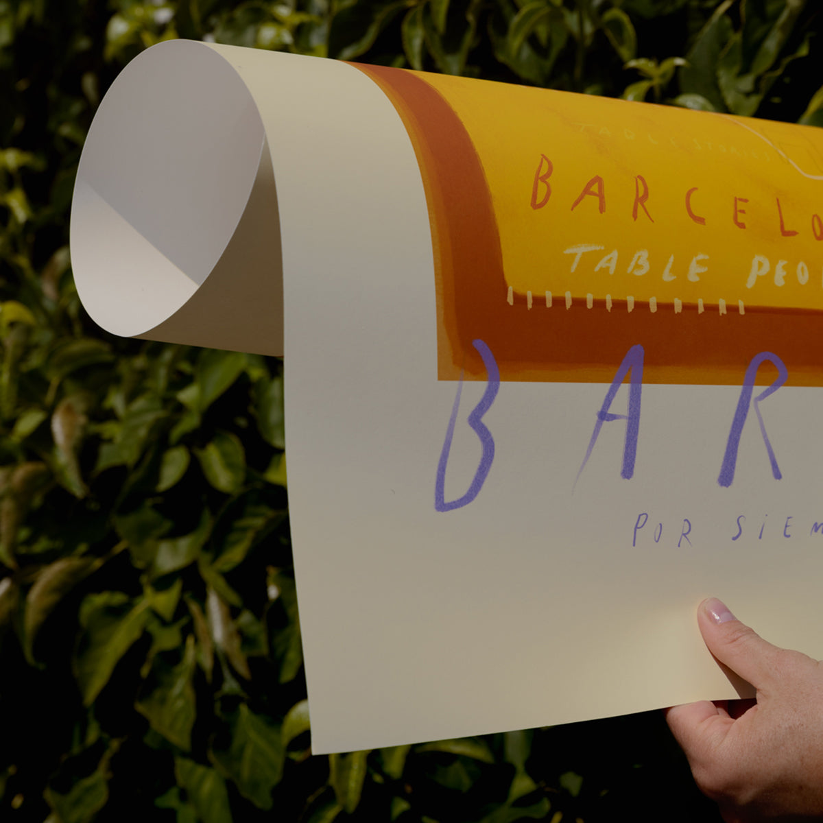 Barce Print