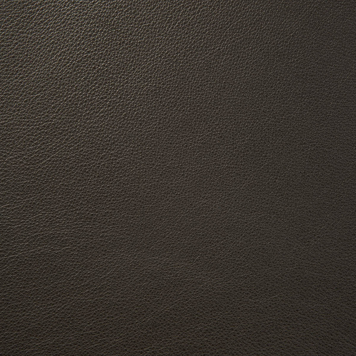 Bok Leather Dining Chair