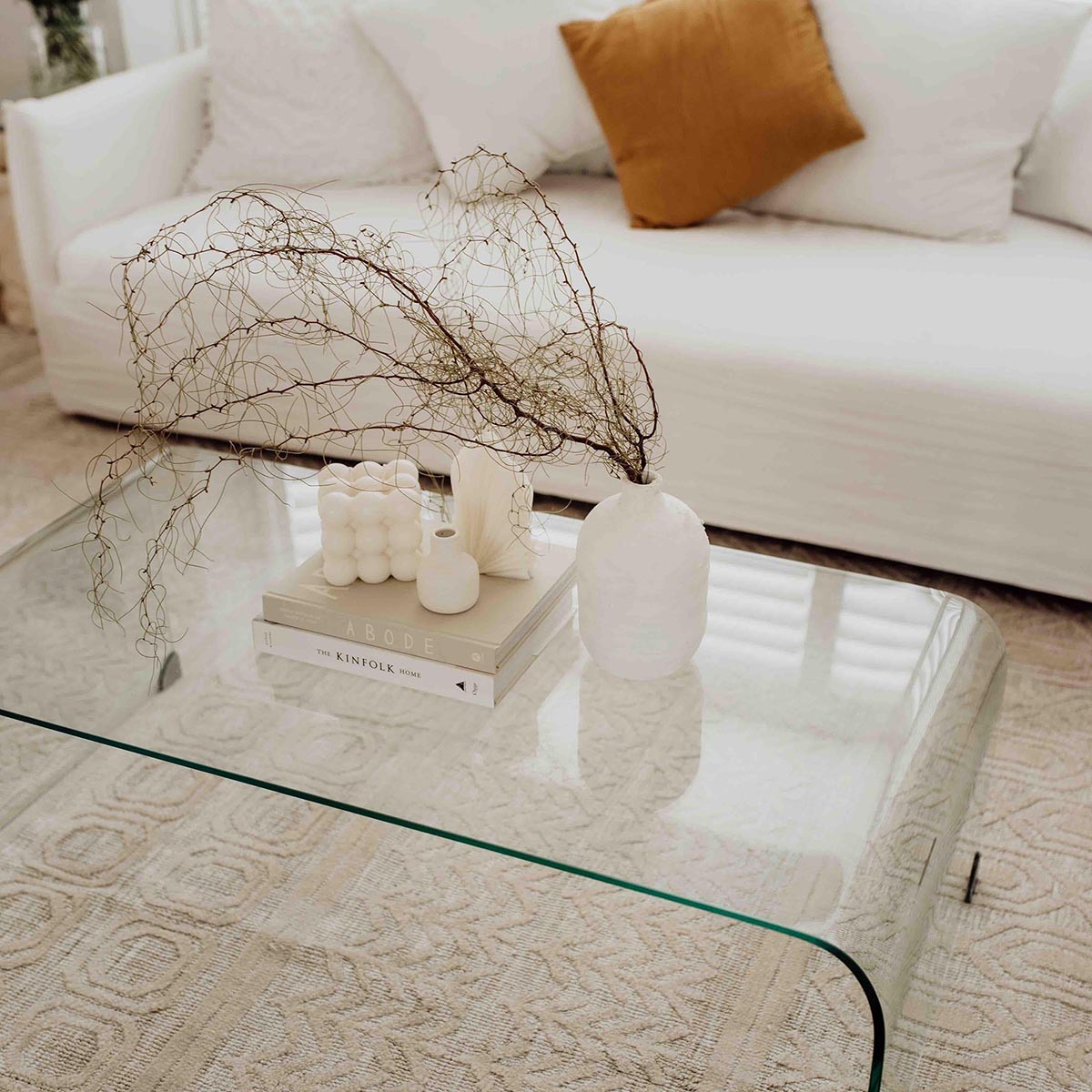 Delphine Tribal Transitional Rug