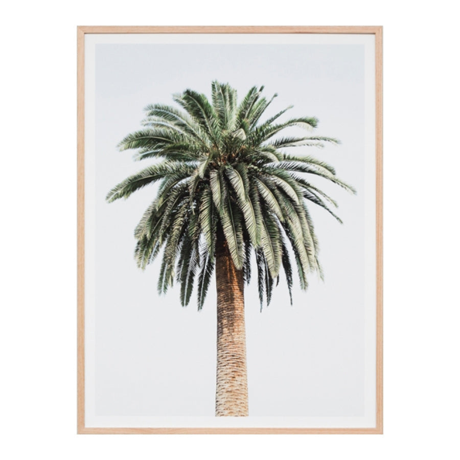 Caribbean Palm Colour Print