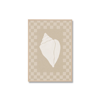 Check Seashell 1 Framed Print