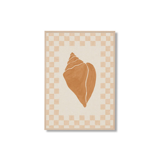 Check Seashell 1 Framed Print