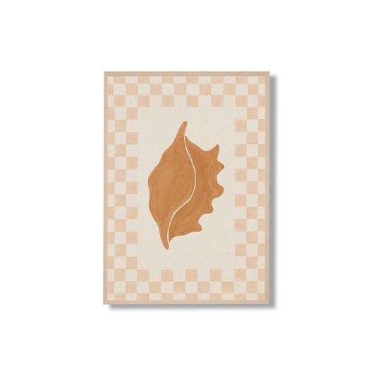 Check Seashell 2 Framed Print