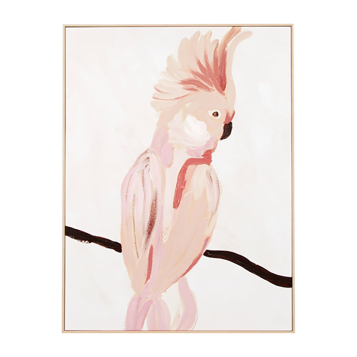 Cockatoo Portrait 1 Framed Canvas