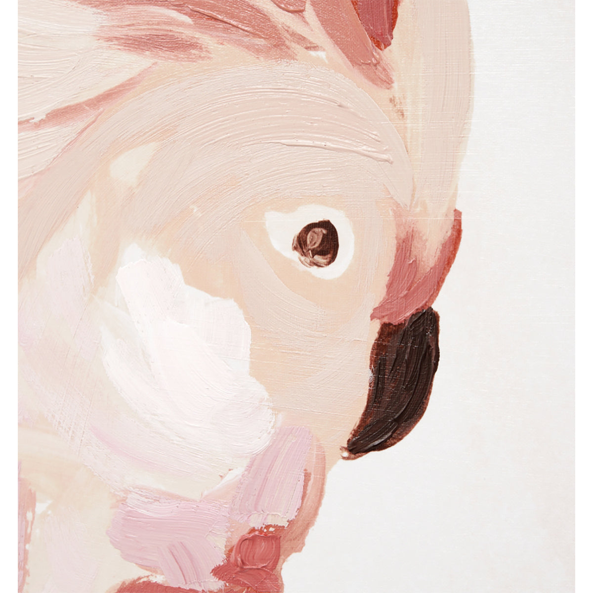 Cockatoo Portrait 1 Framed Canvas