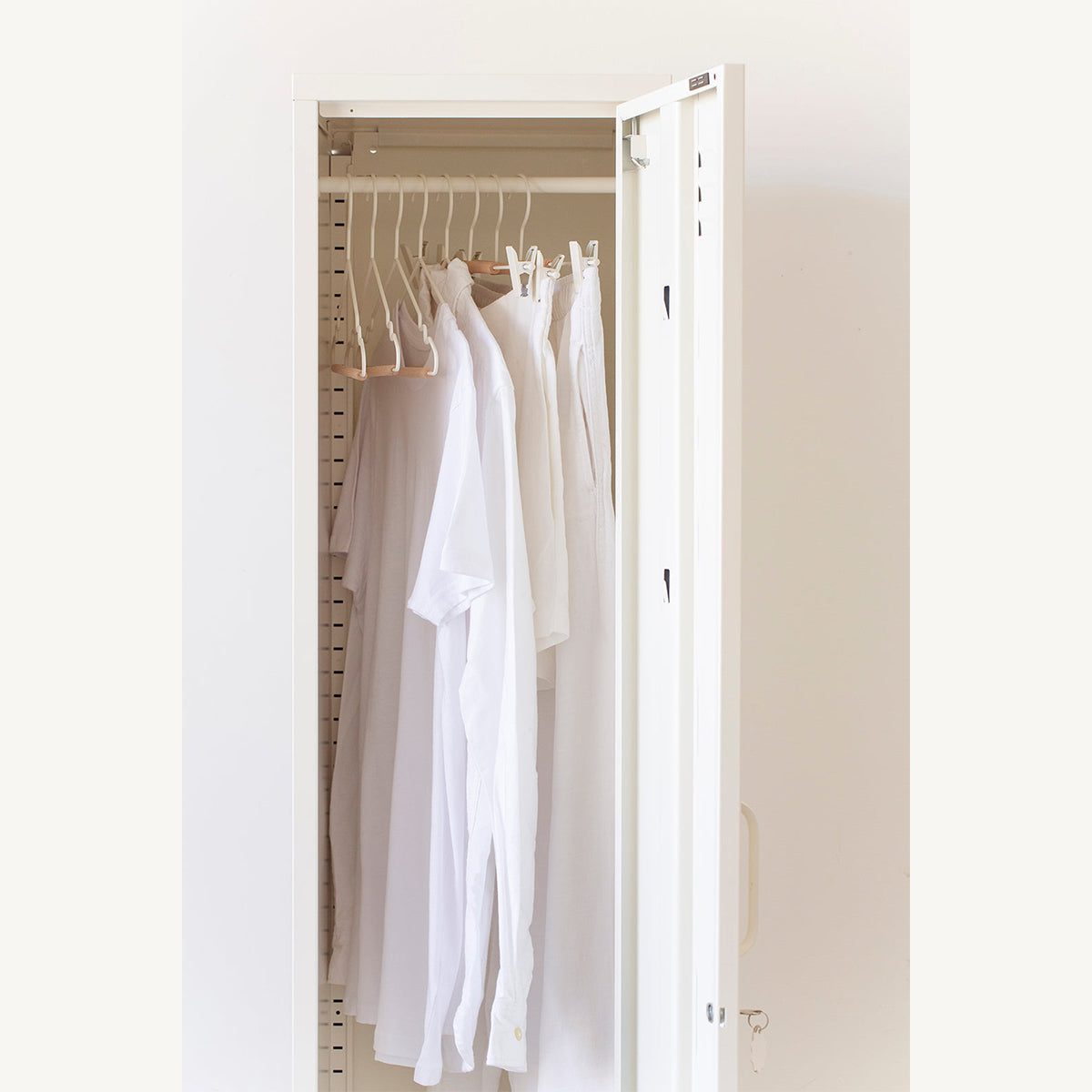 Clip Hangers (Set of 5)