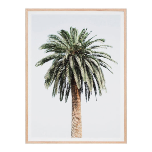 Caribbean Palm Colour Print