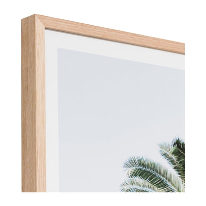 Caribbean Palm Colour Print